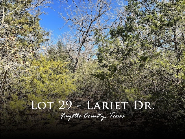 0 Lariet Dr, Cistern TX, 78959 land for sale