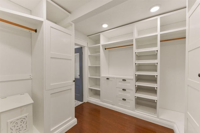 spacious closet featuring dark wood-type flooring