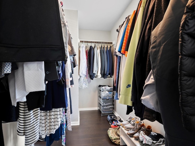 spacious closet featuring wood finished floors