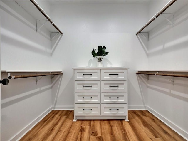 spacious closet featuring light wood-style floors