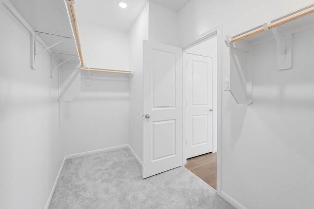 spacious closet featuring carpet floors