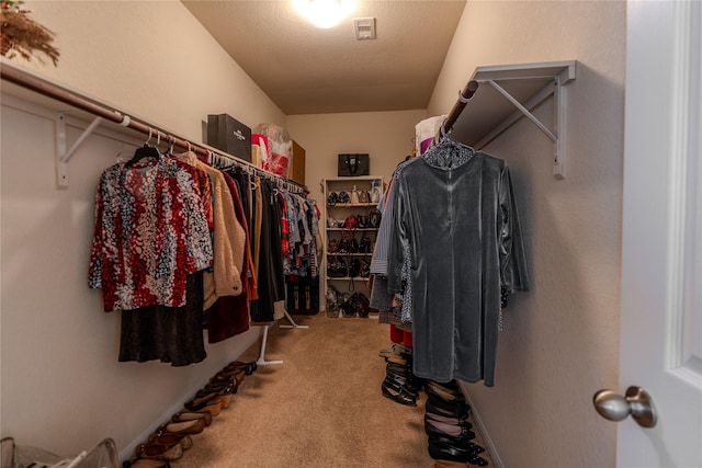 spacious closet with carpet