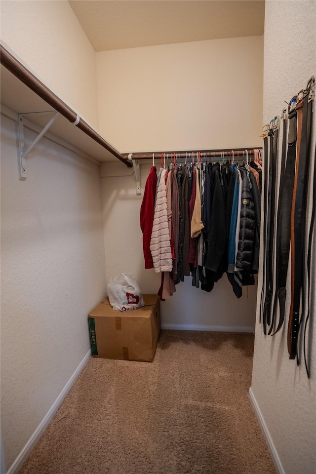 spacious closet featuring carpet floors