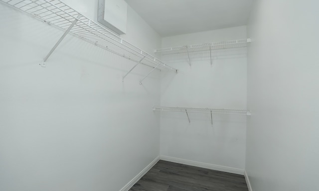 walk in closet with dark wood finished floors