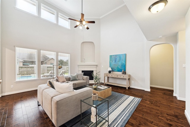 living area with dark wood-type flooring, a healthy amount of sunlight, and a fireplace