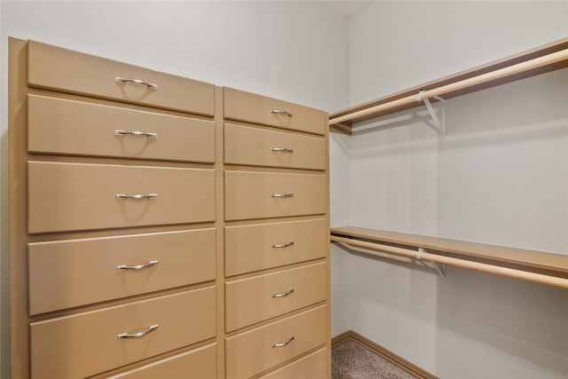 spacious closet featuring carpet floors