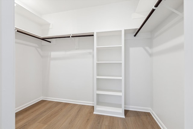 spacious closet featuring light wood-style flooring