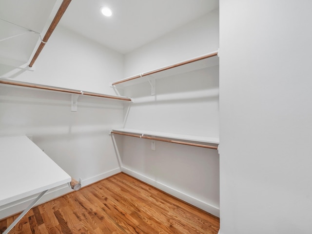 spacious closet featuring wood finished floors