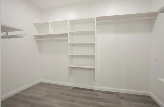 walk in closet with dark wood-style flooring