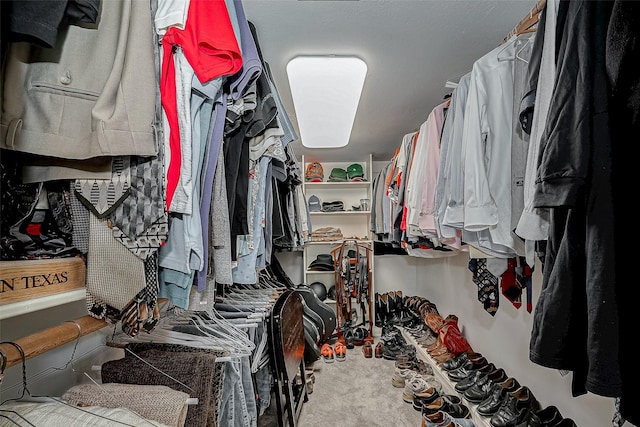 spacious closet featuring carpet floors