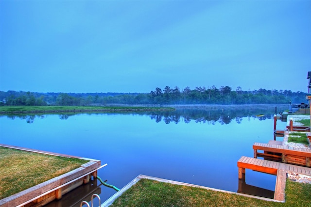 water view with a dock and a view of trees