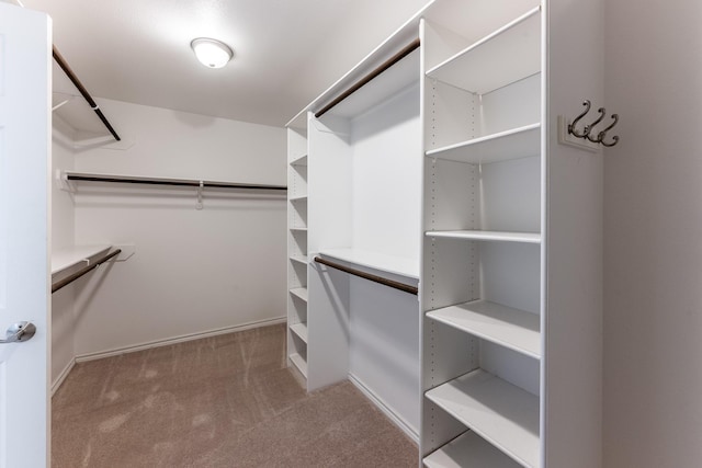 spacious closet featuring light colored carpet