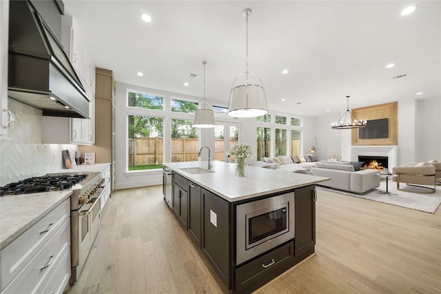 kitchen featuring premium range hood, appliances with stainless steel finishes, a sink, and white cabinets