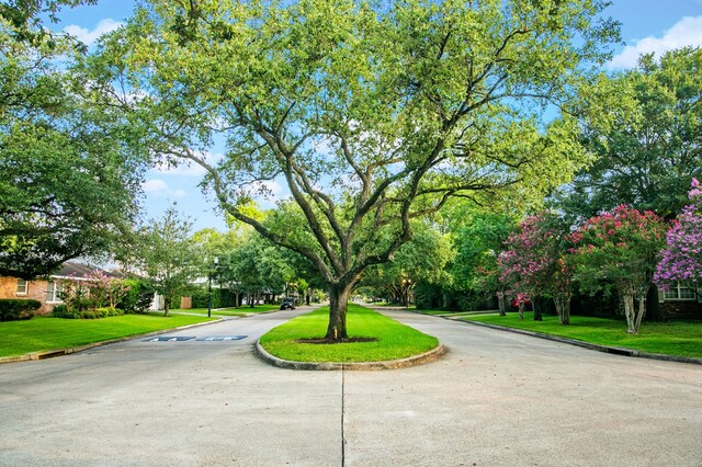 view of property's community featuring curved driveway and a lawn