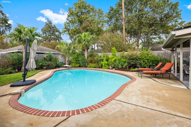 view of swimming pool featuring a patio area, a fenced backyard, a diving board, and a fenced in pool