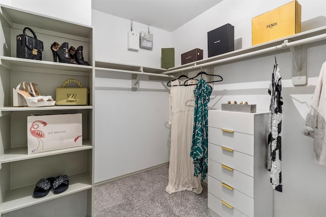 walk in closet with carpet flooring