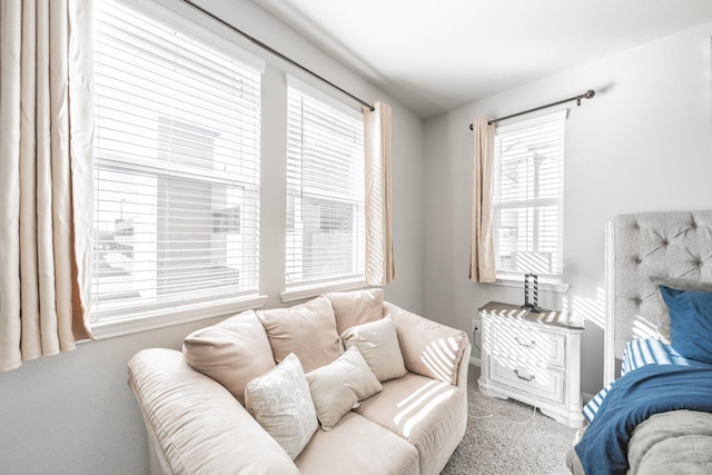 view of carpeted living area