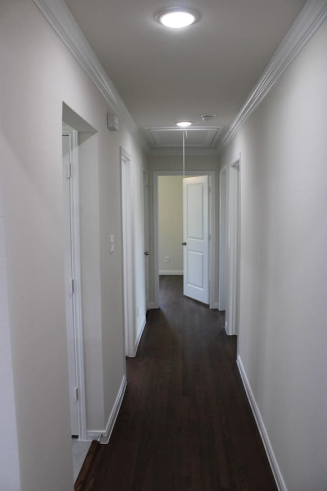 hall featuring baseboards, dark wood-style flooring, attic access, and crown molding