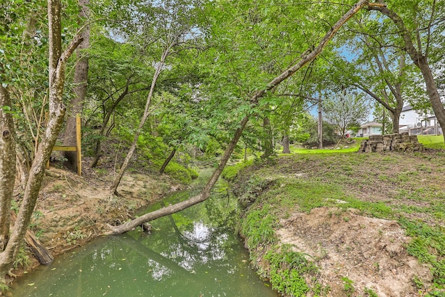 view of yard featuring a water view