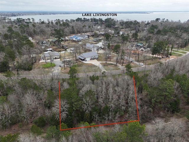 TBD Bankside Dr, Livingston, TX 77351