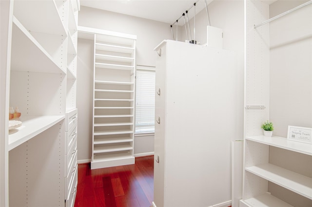 walk in closet featuring dark wood finished floors