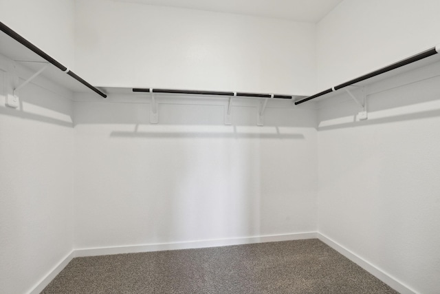 walk in closet with carpet