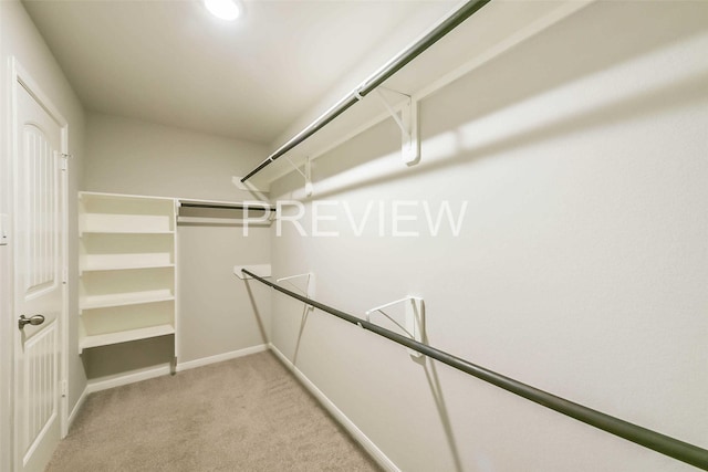 walk in closet with light colored carpet