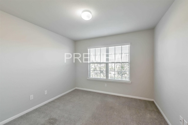 spare room with baseboards and carpet flooring