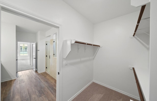 spacious closet featuring wood finished floors