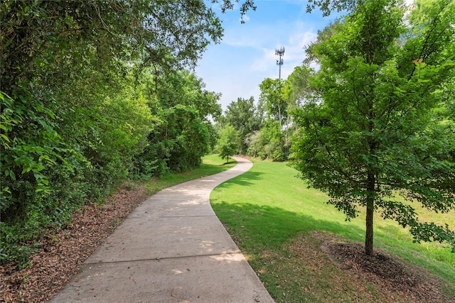 view of community with a lawn