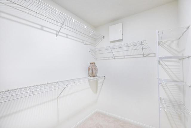 spacious closet with light colored carpet