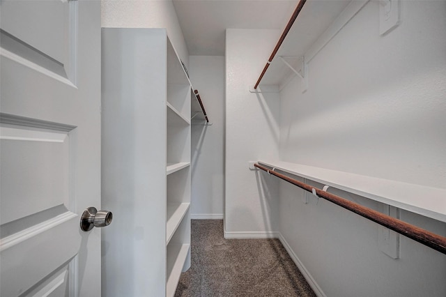 24690 Galway St, Hempstead, TX 77445 - spacious closet featuring dark carpet
