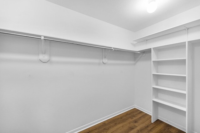 213 Hollander, League City, TX 77573 - photo 26
