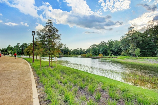 property view of water