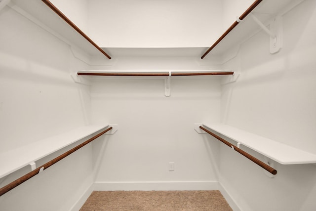 walk in closet with carpet floors