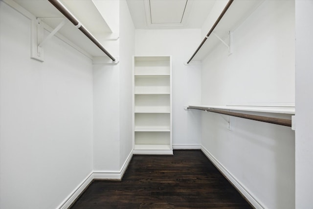 walk in closet with dark wood-type flooring