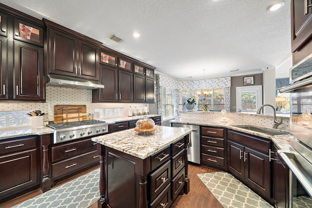 kitchen featuring stainless steel appliances, a sink, a wealth of natural light, and under cabinet range hood