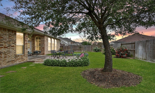 view of yard with a patio area and a fenced backyard