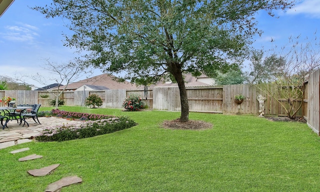 view of yard featuring a patio area and a fenced backyard