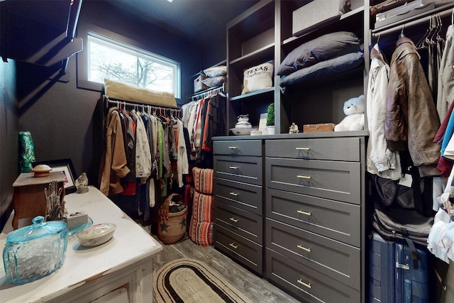 spacious closet featuring wood finished floors