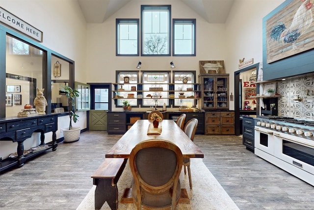 interior space with high vaulted ceiling and wood finished floors