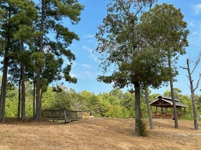 view of local wilderness