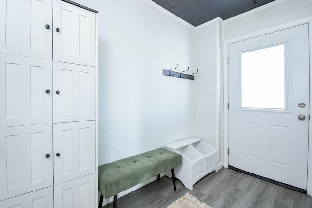 mudroom featuring light wood finished floors