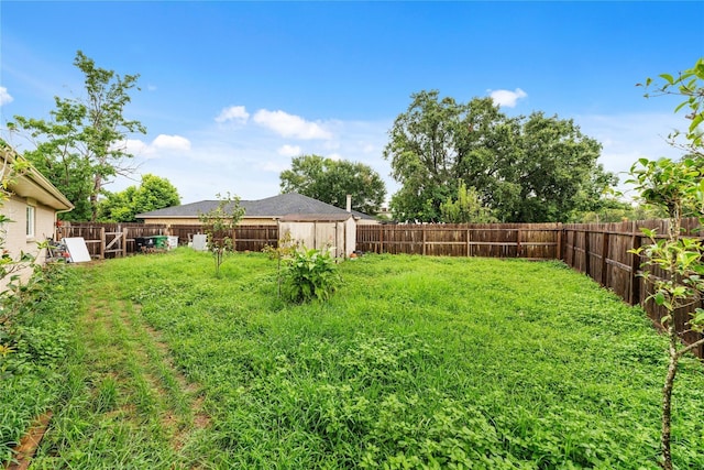 view of yard with a fenced backyard