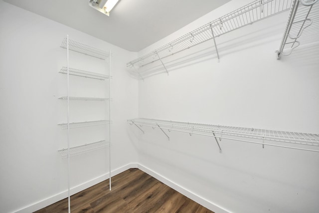 spacious closet featuring dark wood finished floors