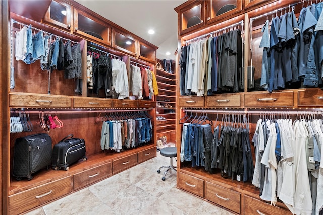 view of spacious closet