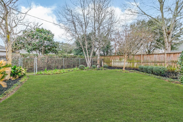 view of yard with a fenced backyard