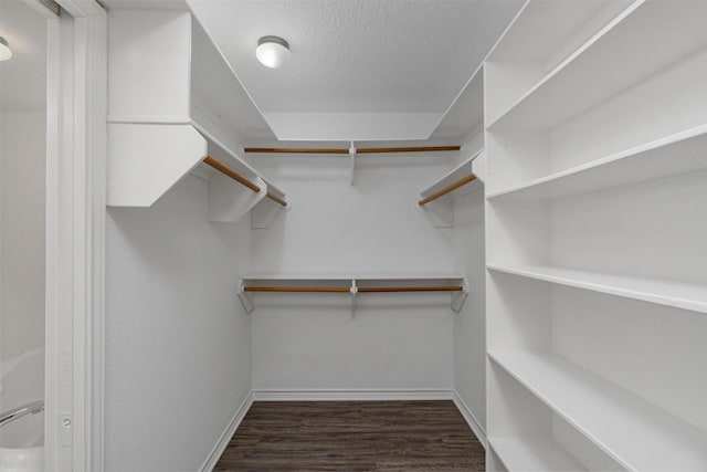 walk in closet with dark wood finished floors