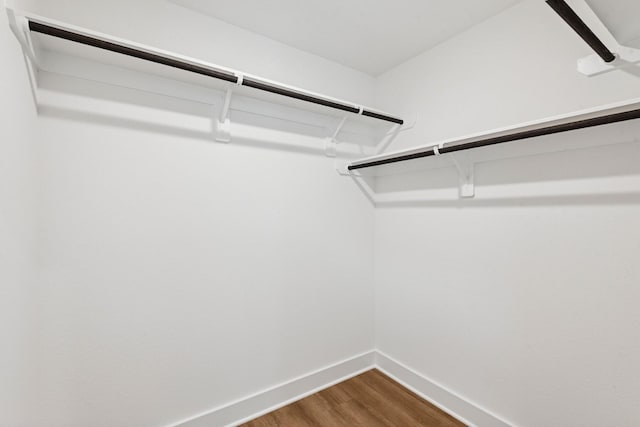 21659 Wave Hollow Dr, Cypress, TX 77433 - spacious closet with dark wood finished floors