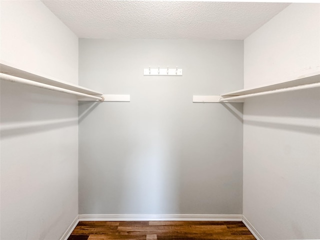 spacious closet featuring dark wood finished floors